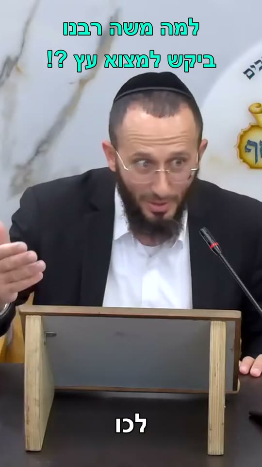 משה חיפש עץ בארץ
