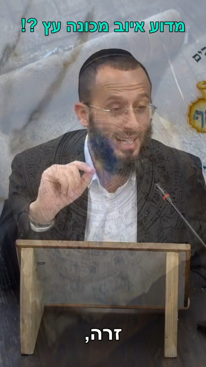את מי חיפש משה רבנו בארץ